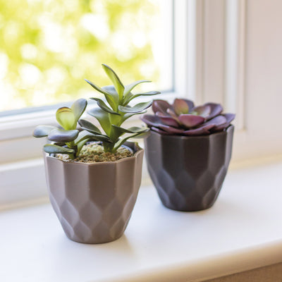 Indoor Plastic Pressed Plant Pot