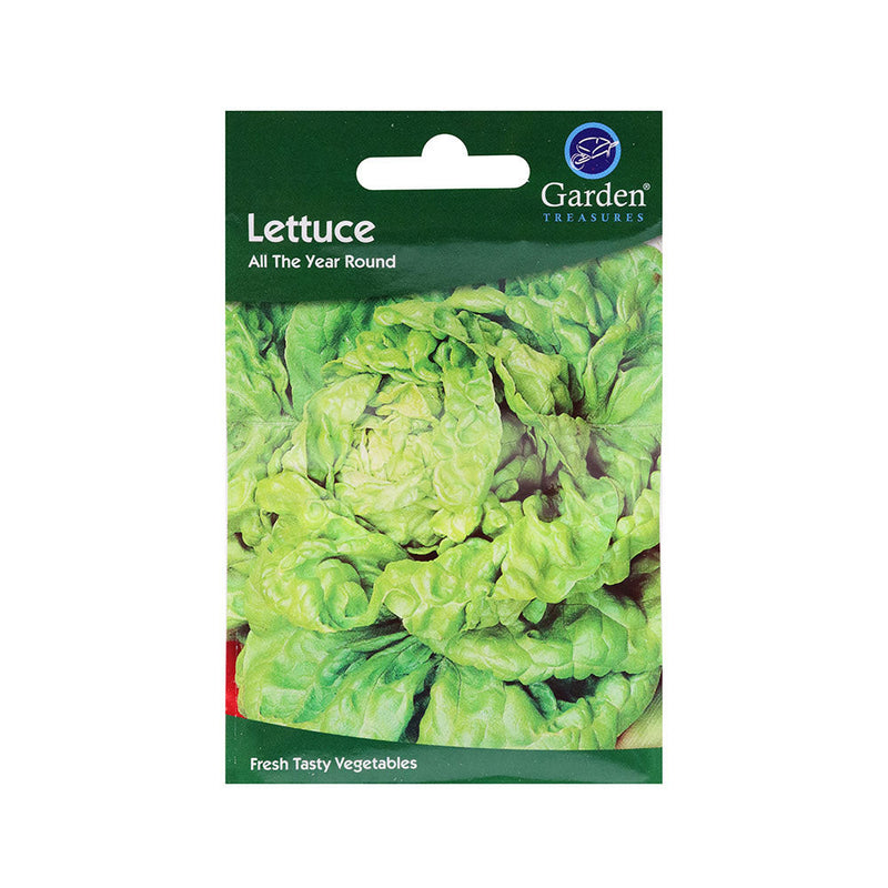 Lettuce All Year Round Seeds
