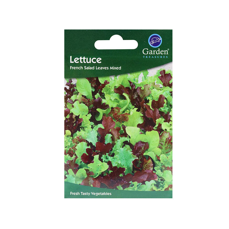 Lettuce French Salad Leaves Mixed Seeds