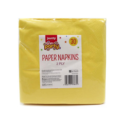 Pastel Paper Napkins 30PK