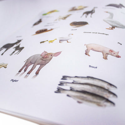 Animal Detective Farm Sticker Book