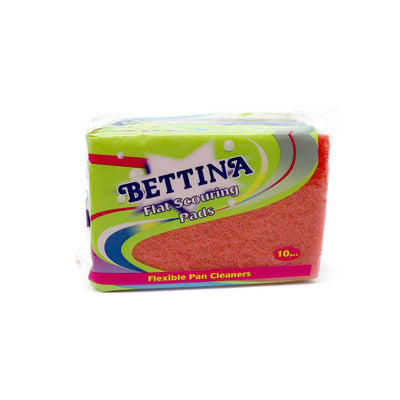 Flat Scouring Pads 10 PC