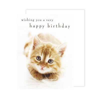 Birthday Card Kitten To Little Darlings