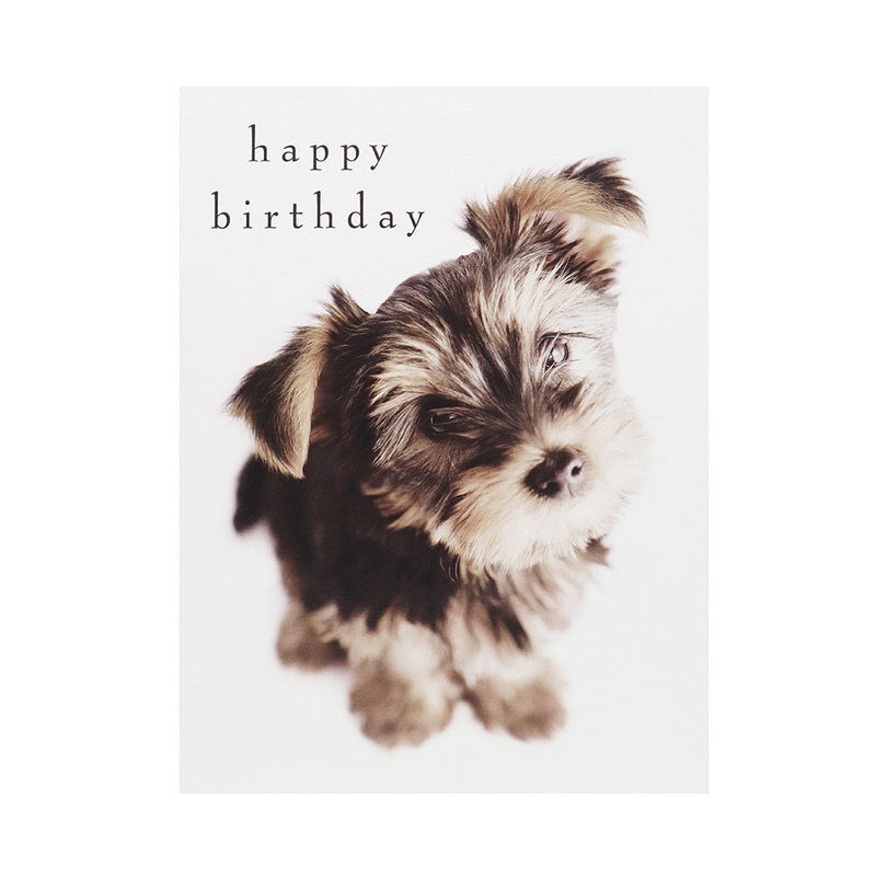 Birthday Card Terrier Puppy To Little Darling