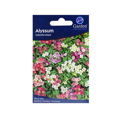Alyssum Colourful Mixed Flower Seeds