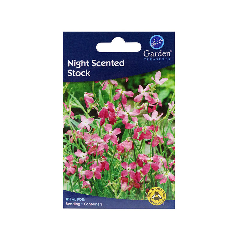Night Scented Stock Flower Seeds
