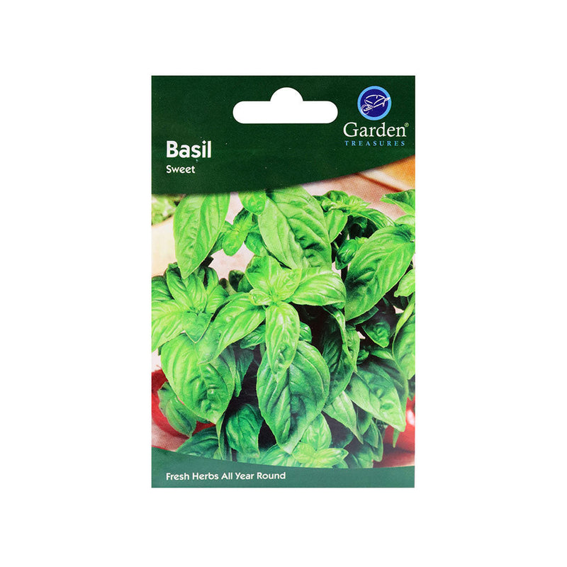 Basil Sweet Fresh Herbs