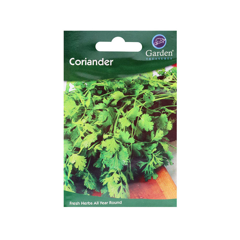 Coriander Fresh Herbs
