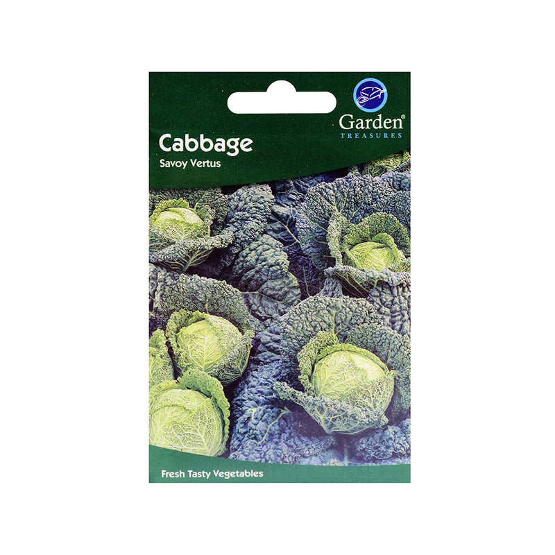 Cabbage Savoy Vertus Seeds