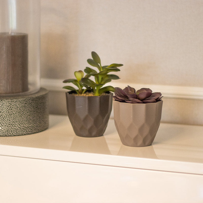Indoor Plastic Pressed Plant Pot