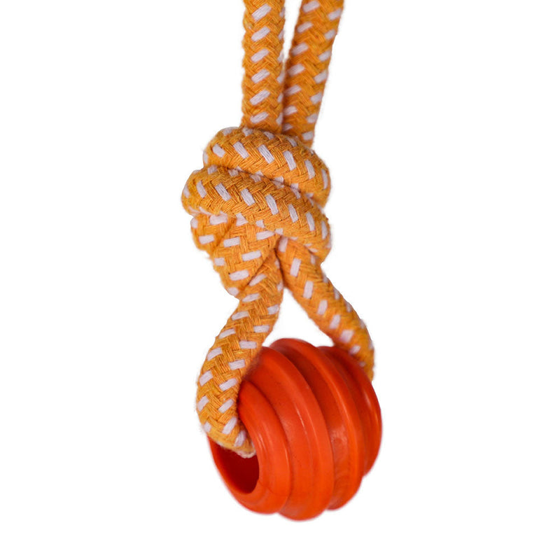 Rope Tug Toy